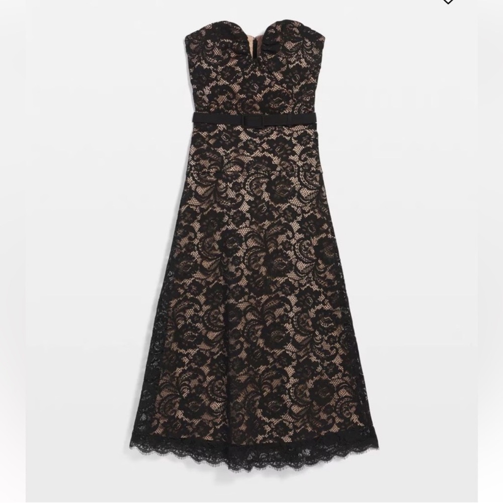 White House black market strapless lace midi dress nude sweetheart knee size 8